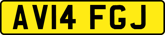 AV14FGJ