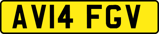 AV14FGV
