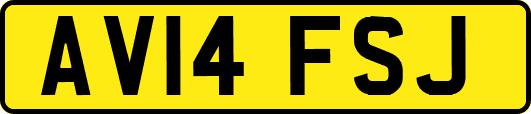 AV14FSJ