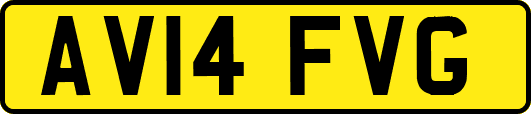 AV14FVG