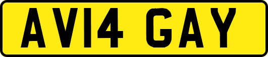 AV14GAY