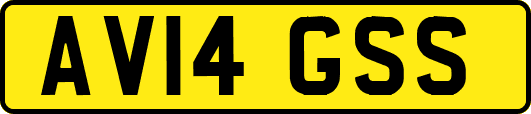 AV14GSS