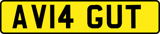 AV14GUT