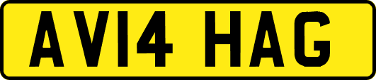 AV14HAG