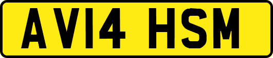 AV14HSM