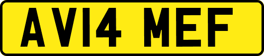 AV14MEF