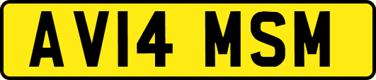 AV14MSM