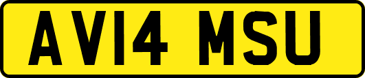 AV14MSU