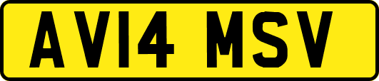 AV14MSV