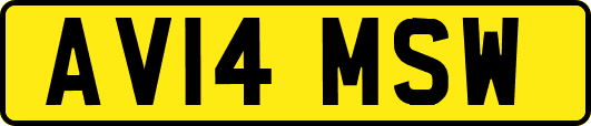 AV14MSW