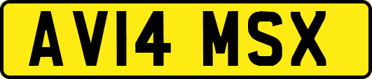 AV14MSX