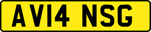 AV14NSG
