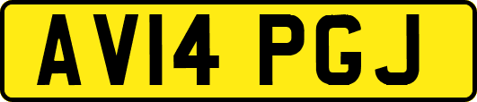 AV14PGJ