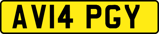 AV14PGY