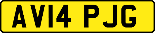 AV14PJG