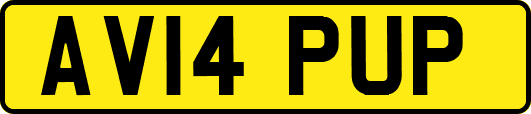 AV14PUP