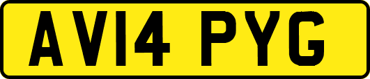 AV14PYG