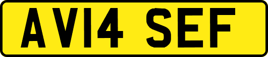 AV14SEF