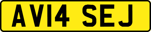 AV14SEJ