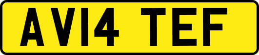 AV14TEF