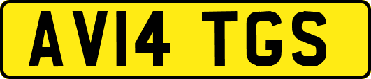 AV14TGS