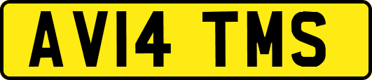 AV14TMS