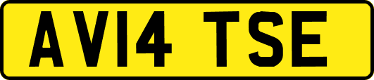 AV14TSE