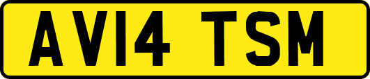 AV14TSM