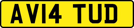AV14TUD