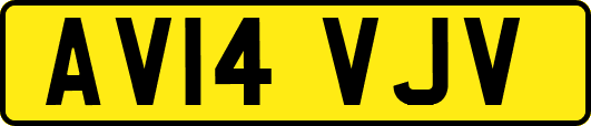 AV14VJV