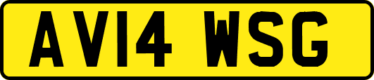 AV14WSG