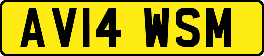 AV14WSM
