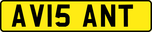 AV15ANT