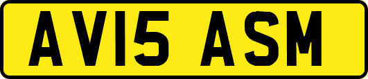 AV15ASM