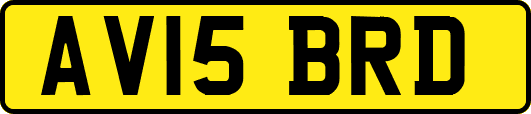 AV15BRD