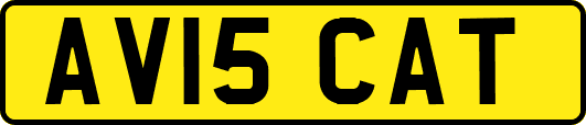 AV15CAT
