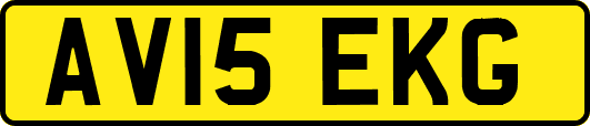 AV15EKG