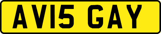AV15GAY