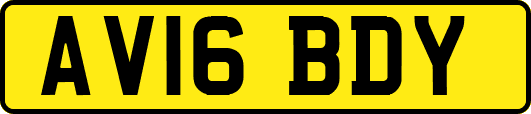 AV16BDY