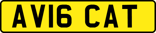AV16CAT
