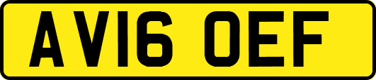 AV16OEF