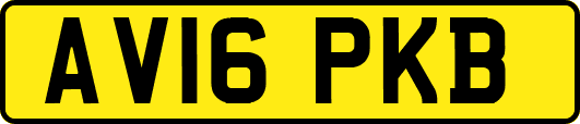 AV16PKB