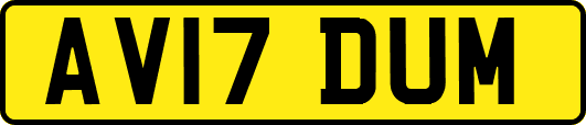 AV17DUM