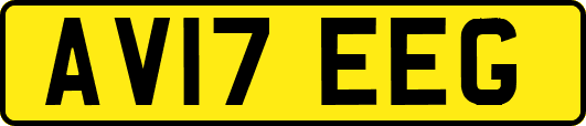 AV17EEG