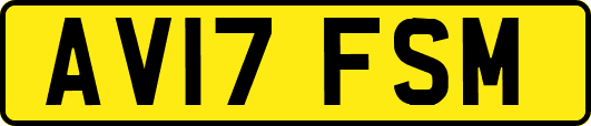 AV17FSM