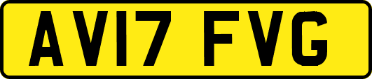 AV17FVG