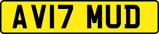AV17MUD