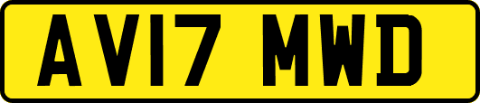 AV17MWD