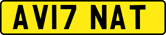 AV17NAT