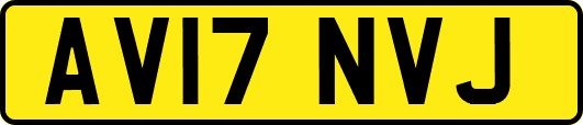 AV17NVJ